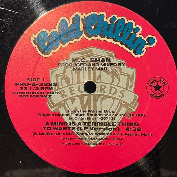 MC Shan : A Mind Is A Terrible Thing To Waste (12", Promo)