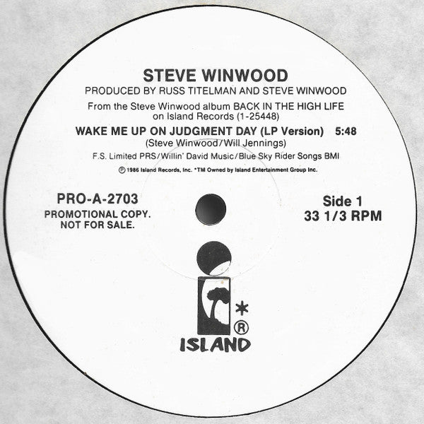 Steve Winwood : Wake Me Up On Judgment Day (12", Promo)