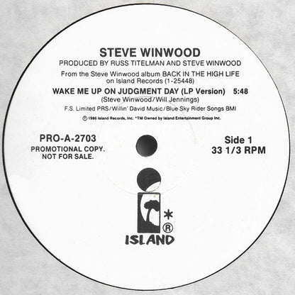 Steve Winwood : Wake Me Up On Judgment Day (12", Promo)