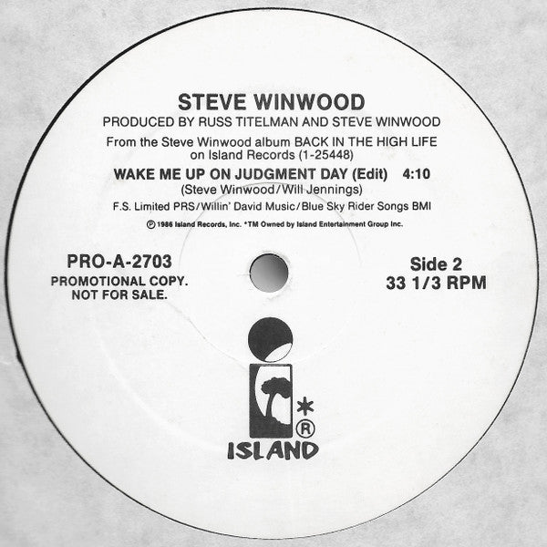 Steve Winwood : Wake Me Up On Judgment Day (12", Promo)