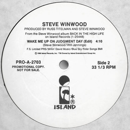 Steve Winwood : Wake Me Up On Judgment Day (12", Promo)