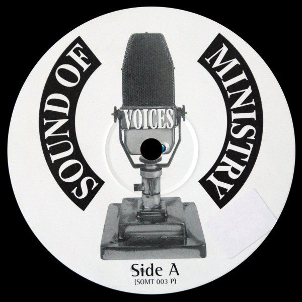 Voices : Voices In My Mind (12", Promo)