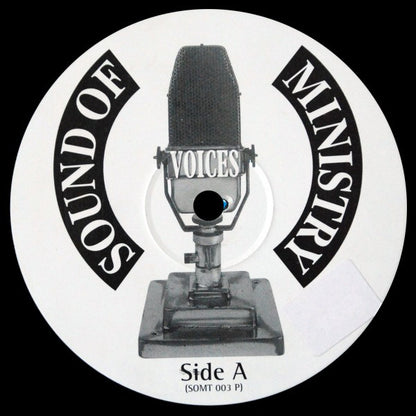 Voices : Voices In My Mind (12", Promo)