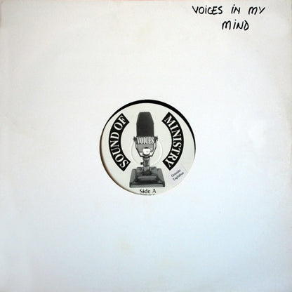 Voices : Voices In My Mind (12", Promo)