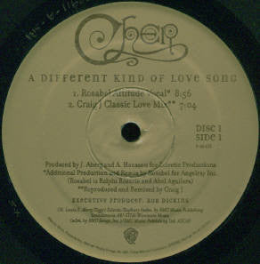 Cher : A Different Kind Of Love Song / The Music's No Good Without You (2x12", Maxi)