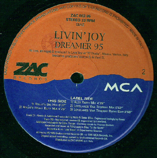 Livin' Joy : Dreamer 95 (2x12")