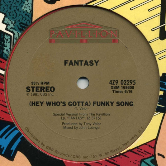 Fantasy (2) : (Hey Who's Gotta) Funky Song (12")