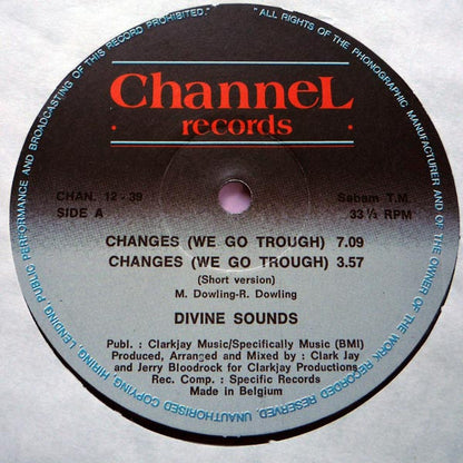 Divine Sounds : Changes (We Go Through) (12")