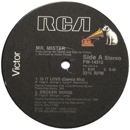 Mr. Mister : Is It Love (12")