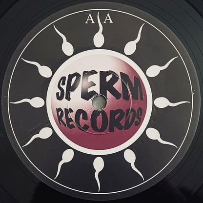 Boomerang : Catch It (12")