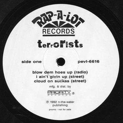 The Terrorists : Blow Dem Hoes Up (12", Promo)