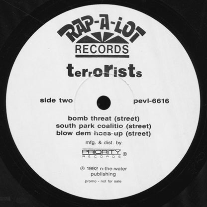 The Terrorists : Blow Dem Hoes Up (12", Promo)