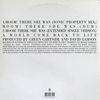 Scritti Politti Featuring Roger* : Boom! There She Was (12", Maxi)