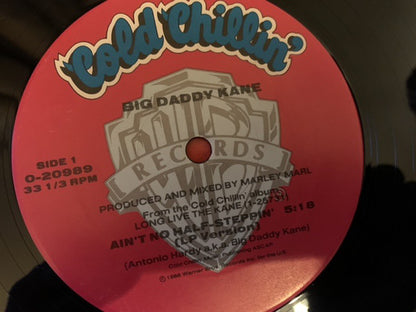 Big Daddy Kane : Ain't No Half-Steppin' (12", Maxi)