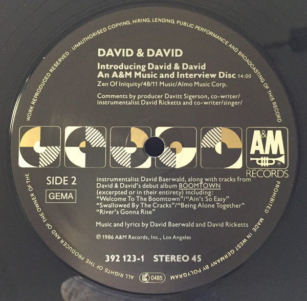 David + David : Welcome To The Boomtown (12")