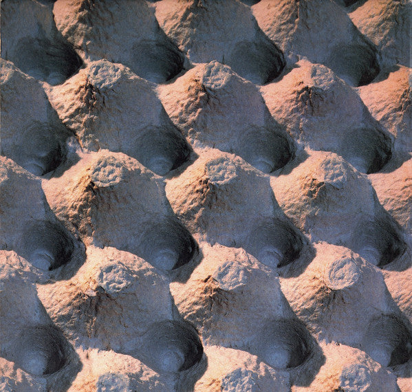 Dudearella Feat: Shelley Nelson : Top Of The World (12")