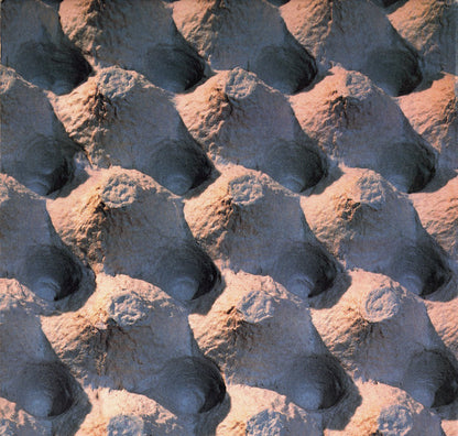 Dudearella Feat: Shelley Nelson : Top Of The World (12")