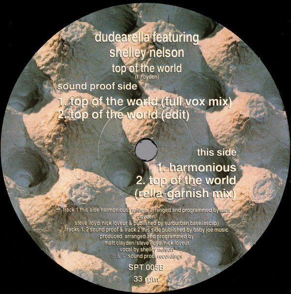 Dudearella Feat: Shelley Nelson : Top Of The World (12")