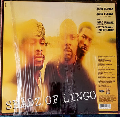 Shadz Of Lingo : Mad Flavaz (12")
