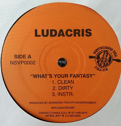 Ludacris : What's Your Fantasy / Game Got Switched (12", Single)