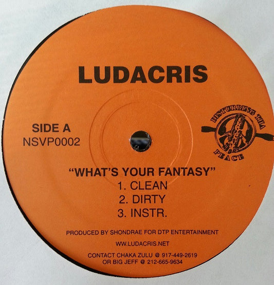 Ludacris : What's Your Fantasy / Game Got Switched (12", Single)