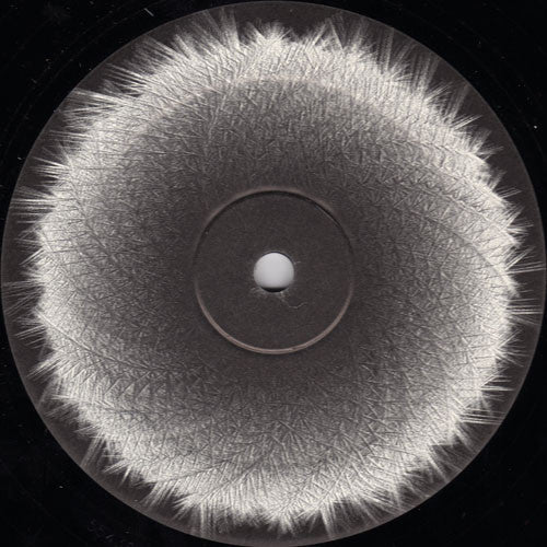 Wout Hoste with Tom vd Wielen and Senne de Jong : Tochnics 1 (12")
