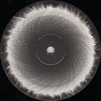 Wout Hoste with Tom vd Wielen and Senne de Jong : Tochnics 1 (12")