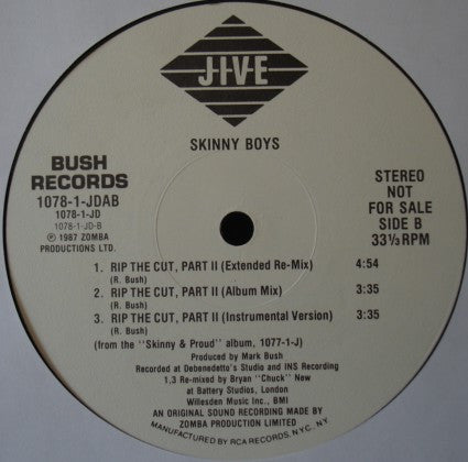 Skinny Boys : Skinny & Proud (12", Promo)