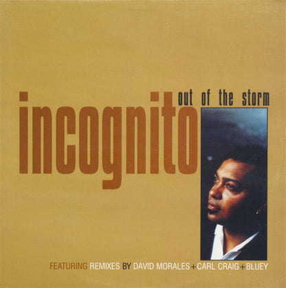 Incognito : Out Of The Storm (12")