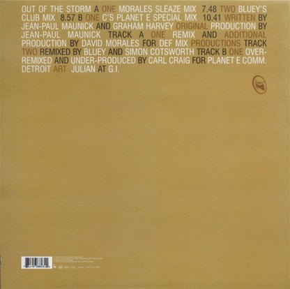 Incognito : Out Of The Storm (12")