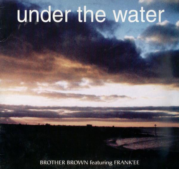 Brother Brown Featuring Frank'ee : Under The Water (12")