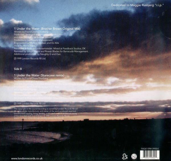 Brother Brown Featuring Frank'ee : Under The Water (12")