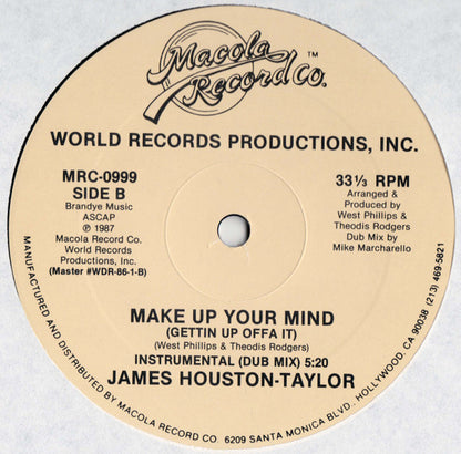 James Houston Taylor : I Heard It Through The Grapevine / Make Up Your Mind (12")