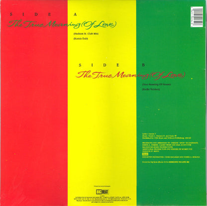 Jomanda : The True Meaning Of Love (12")