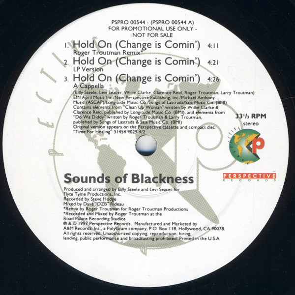 Sounds Of Blackness : Hold On (Change Is Comin') (12", Promo)