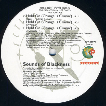 Sounds Of Blackness : Hold On (Change Is Comin') (12", Promo)