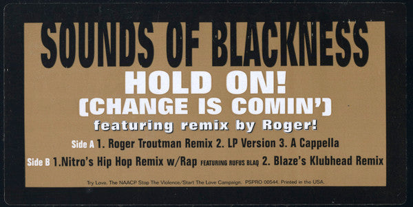 Sounds Of Blackness : Hold On (Change Is Comin') (12", Promo)