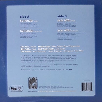 Seek : Surrender (12")