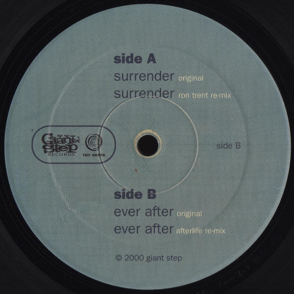 Seek : Surrender (12")