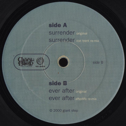 Seek : Surrender (12")