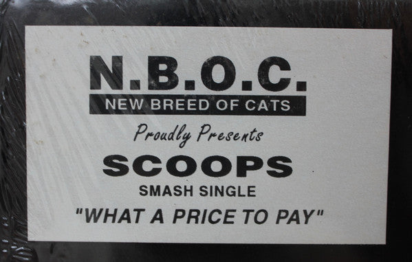 Scoop Jordan : What A Price To Pay (12", Single, Gre)
