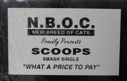 Scoop Jordan : What A Price To Pay (12", Single, Gre)