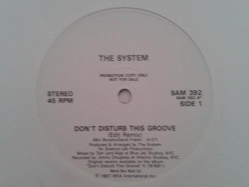 The System : Don't Disturb This Groove (12", Single, Promo)