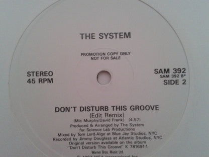 The System : Don't Disturb This Groove (12", Single, Promo)