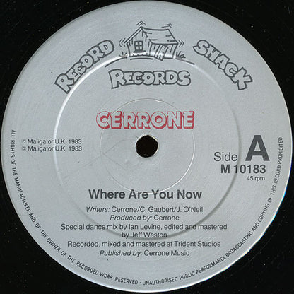 Cerrone : Where Are You Now (12", Maxi)