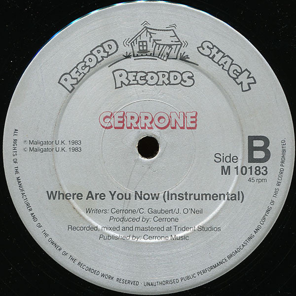 Cerrone : Where Are You Now (12", Maxi)