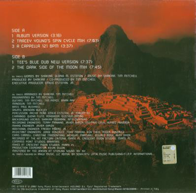 Shakira : Whenever, Wherever (12")