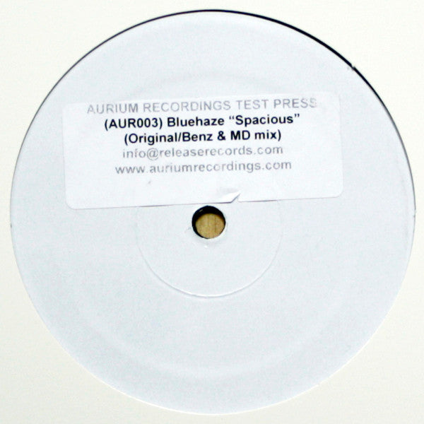 Blue Haze : Spacious (12", Promo, W/Lbl, Sti)