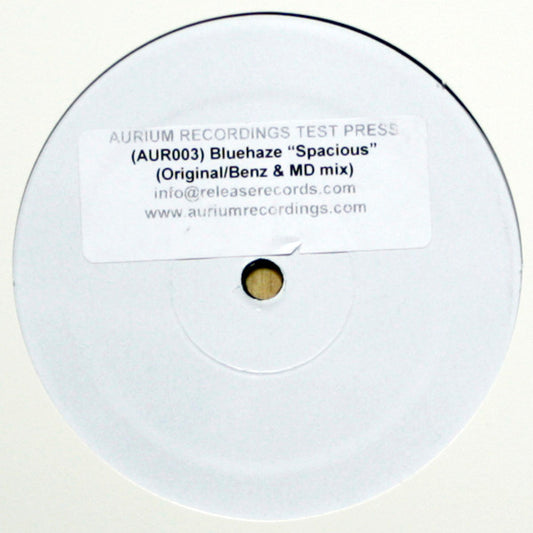 Blue Haze : Spacious (12", Promo, W/Lbl, Sti)