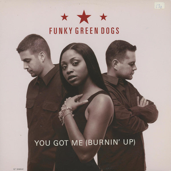 Funky Green Dogs : You Got Me (Burnin' Up) (12")